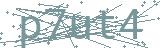 Fehler beim Laden des Captchas