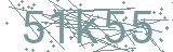 Fehler beim Laden des Captchas