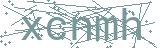 Fehler beim Laden des Captchas