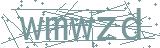 Fehler beim Laden des Captchas
