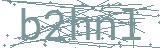 Fehler beim Laden des Captchas