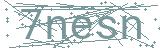 Fehler beim Laden des Captchas