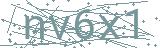 Fehler beim Laden des Captchas