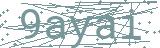 Fehler beim Laden des Captchas