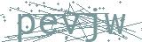 Fehler beim Laden des Captchas