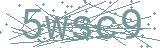 Fehler beim Laden des Captchas