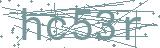 Fehler beim Laden des Captchas