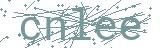 Fehler beim Laden des Captchas