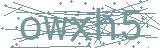 Fehler beim Laden des Captchas