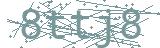 Fehler beim Laden des Captchas